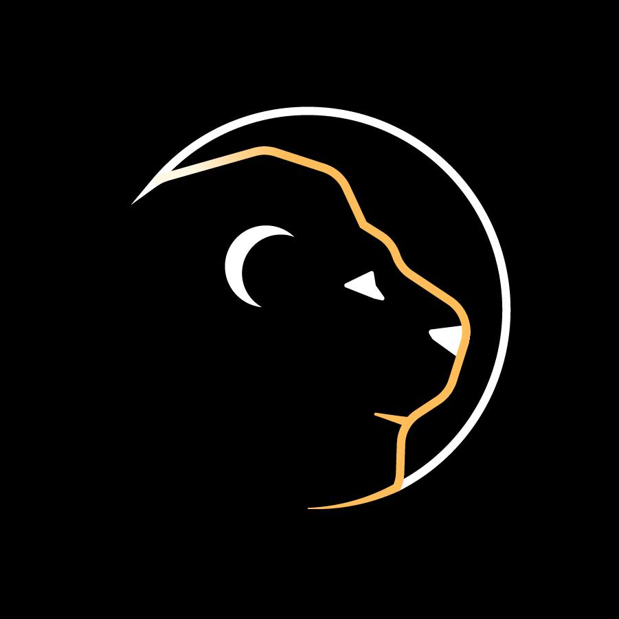 Space Lion Studios 标志