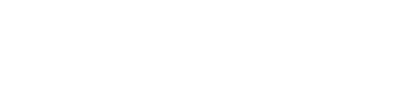 Bergice Productions 标志