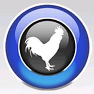 Big Rooster 标志
