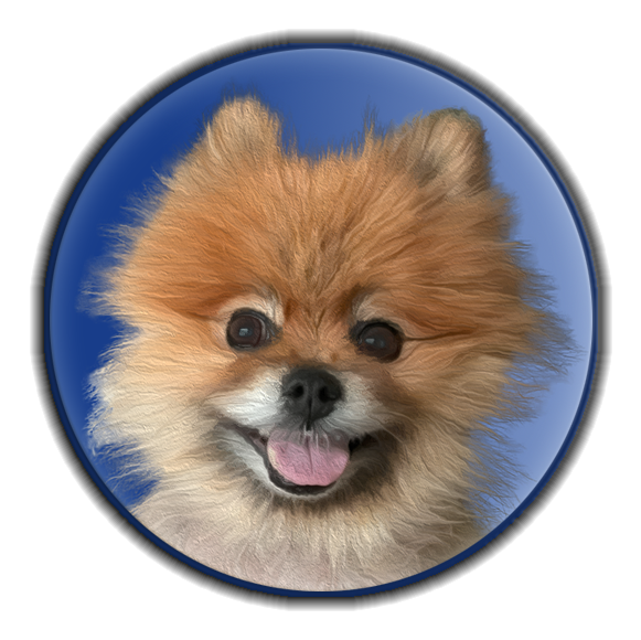 Teddy Bear Games logo