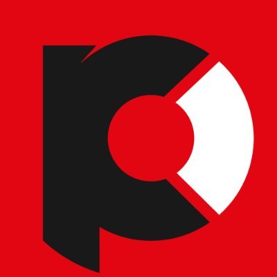 505 Pulse logo