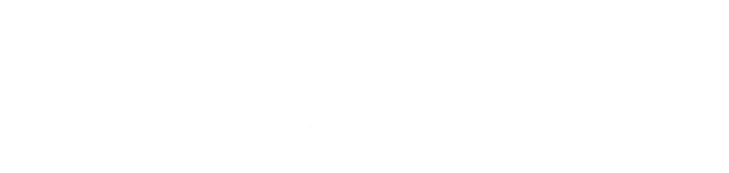 Section 9 Interactive logo
