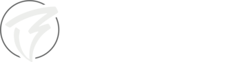 Black Storm logo