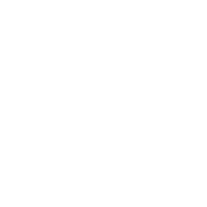 CYBERNATION.TEAM 标志