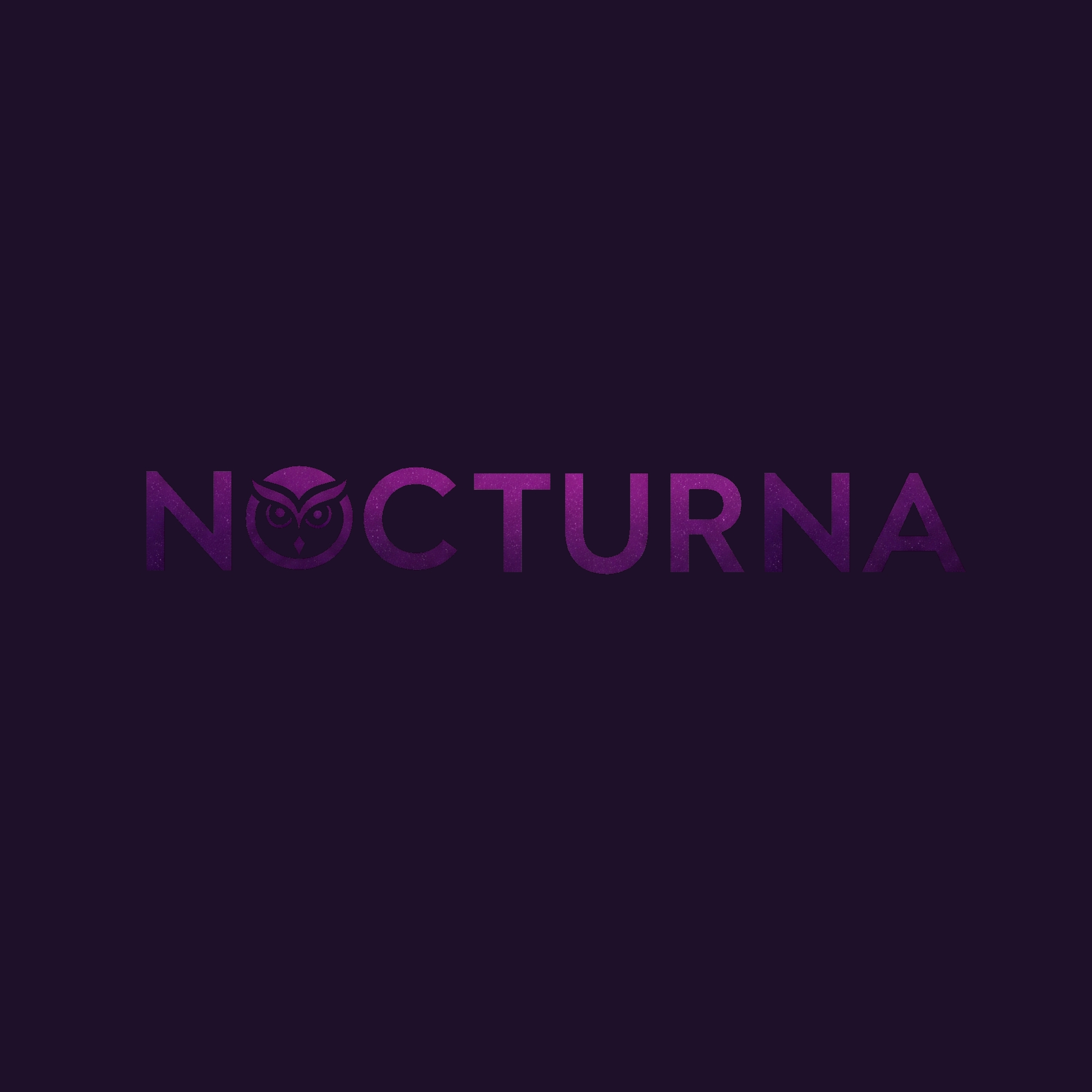 Nocturna Video Games Studio 标志