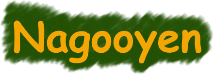 Nagooyen 标志