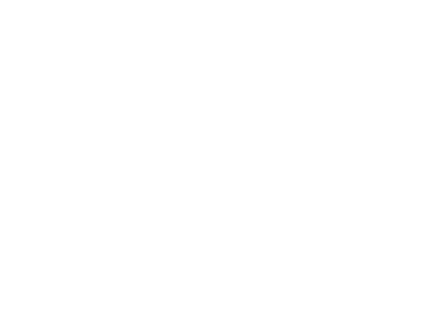 BW Studios 标志