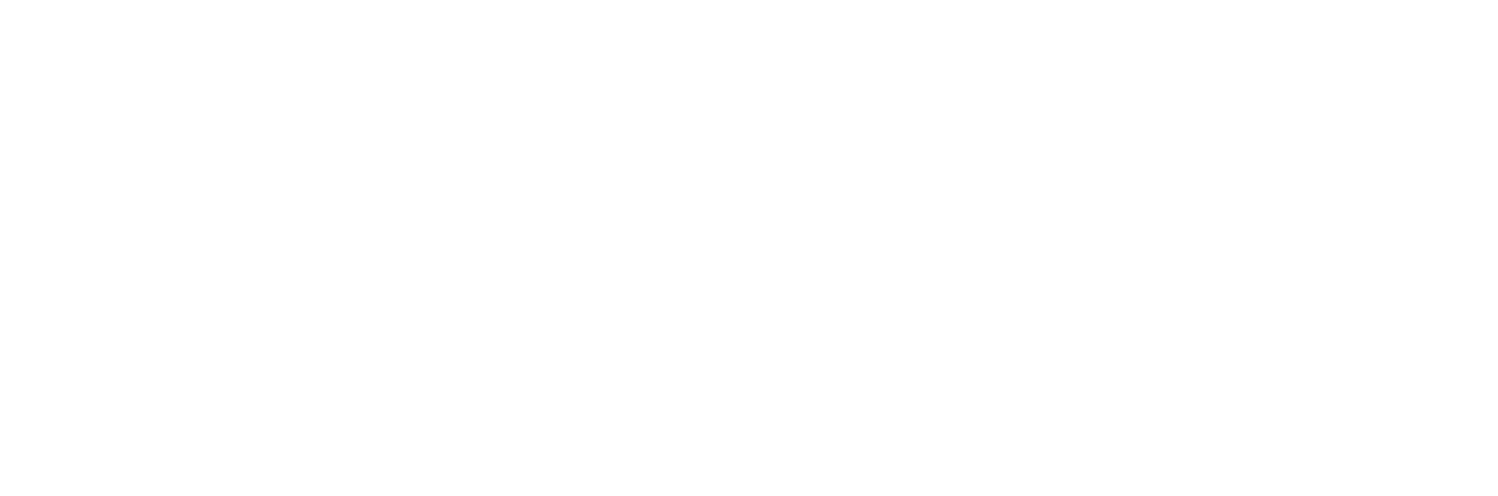 Breaking Walls logo
