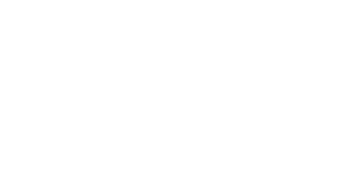 Evolite Studio logo