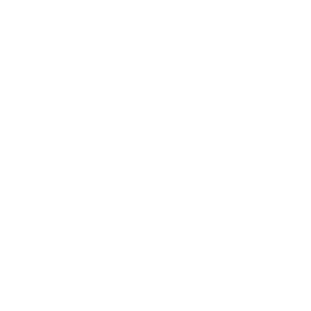THE ROOF Interactive logo
