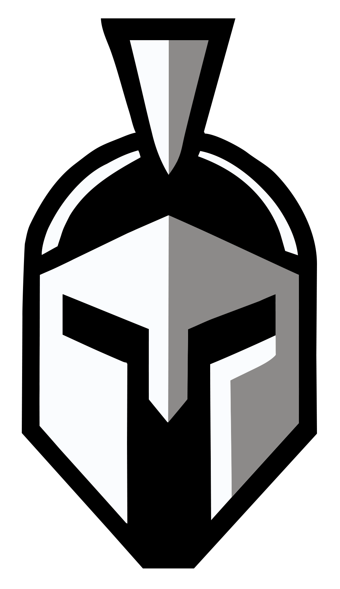 Team Warriors logo