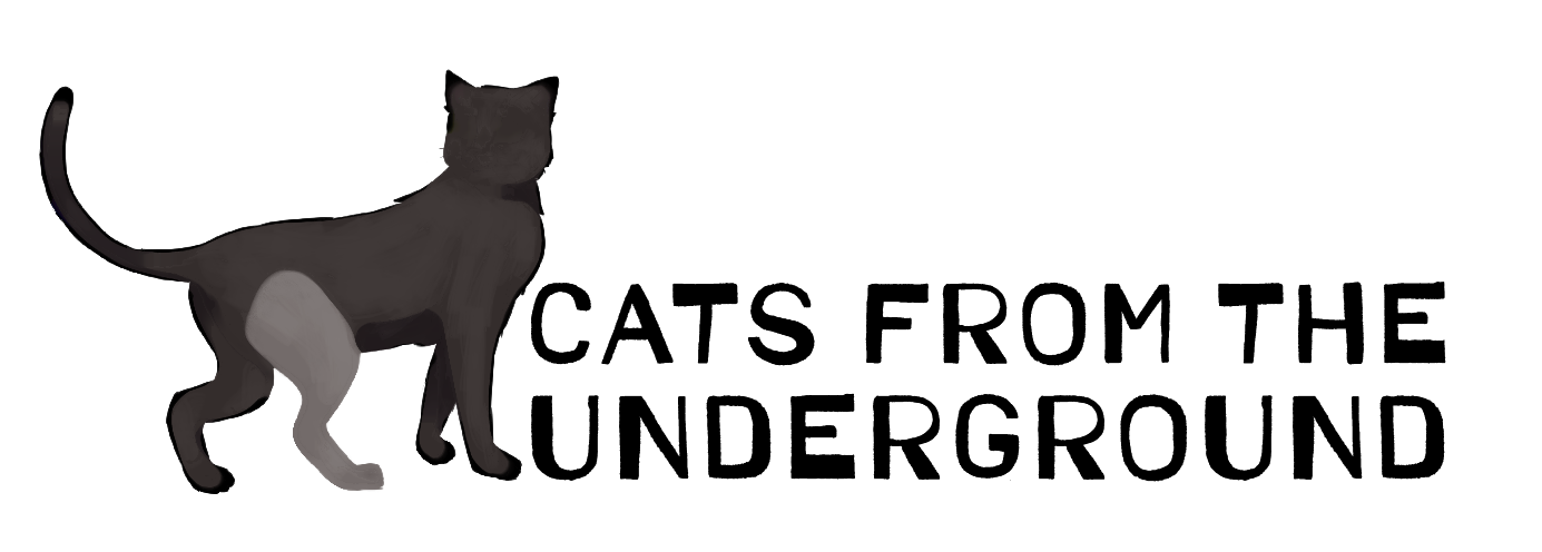 Cats From The Underground 标志