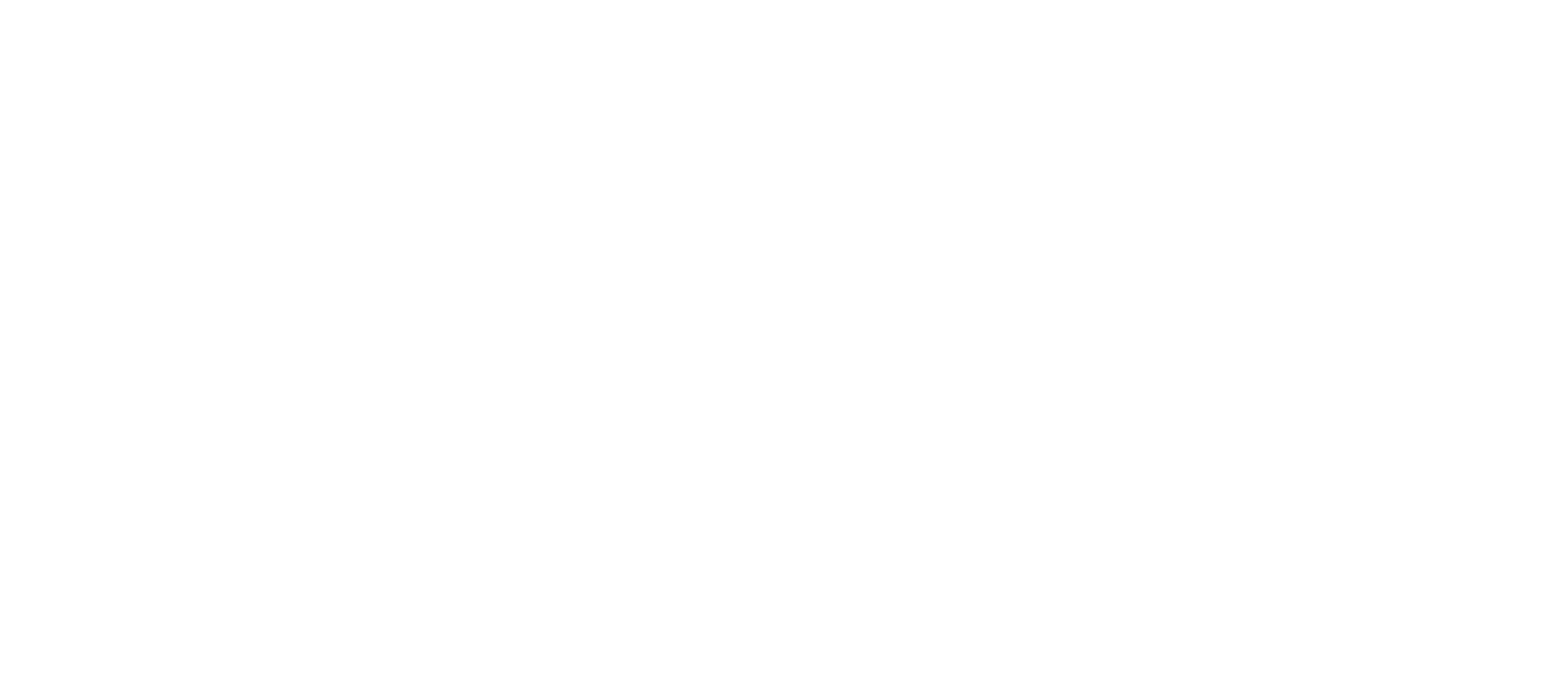 Saltstone Studios logo