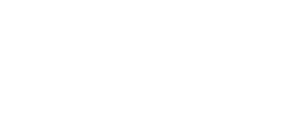 Ammonite Studio 标志