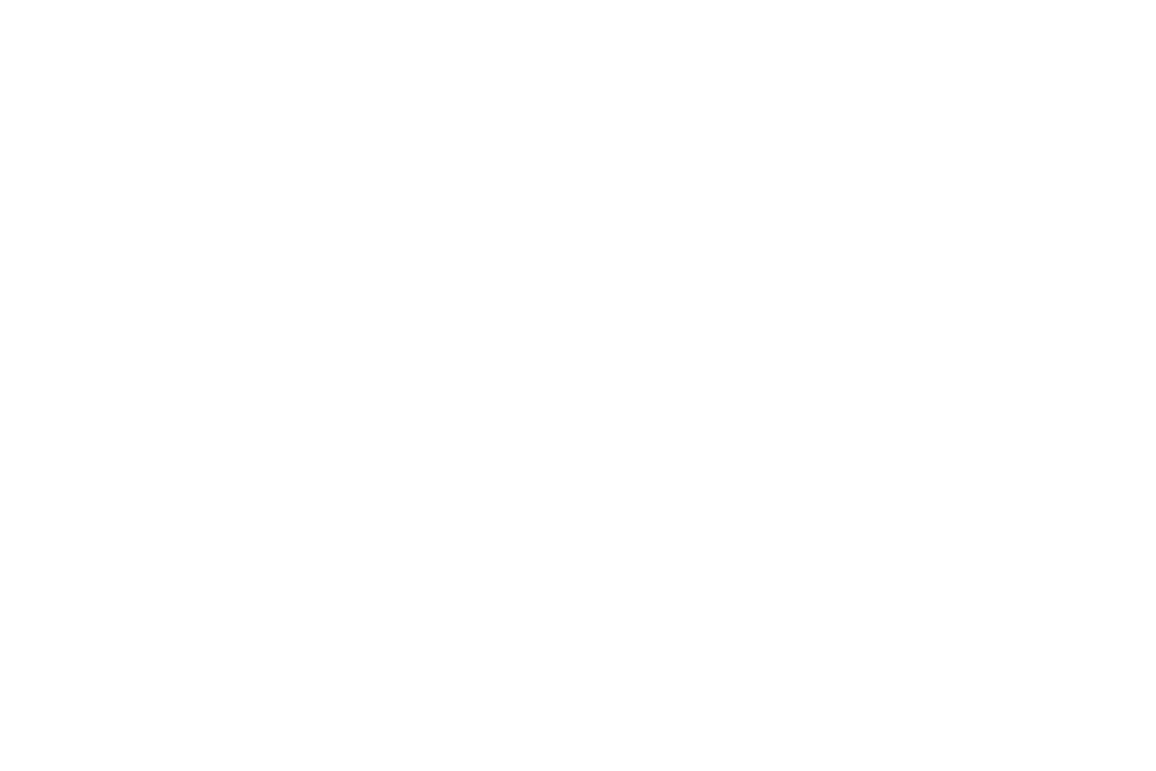 Logo del Desarrollador