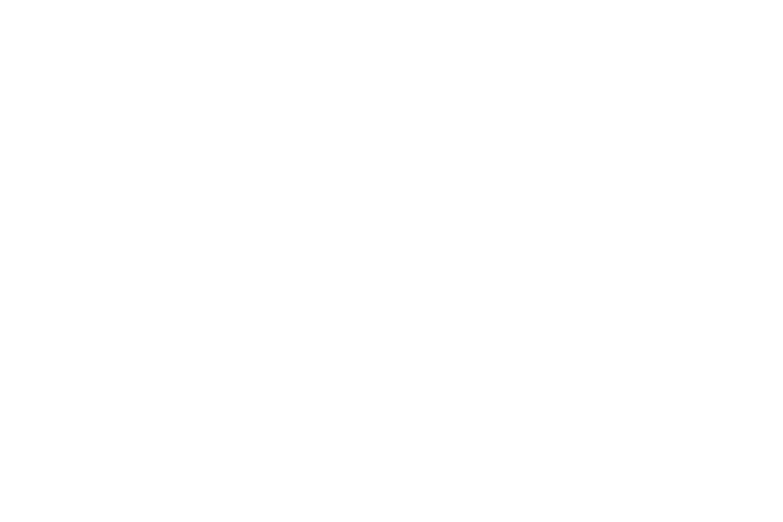 Causeway Studios 标志