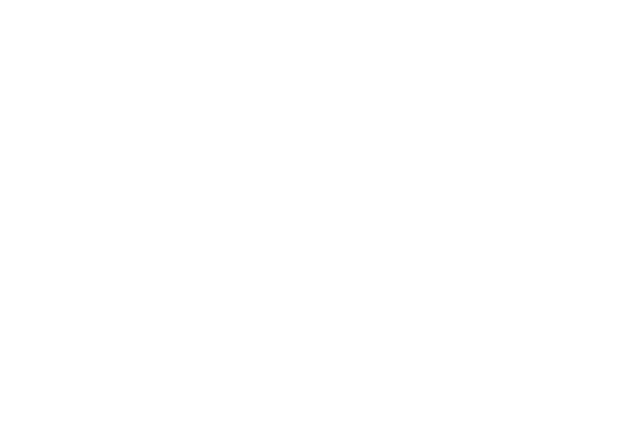 Wandering Wizard logo