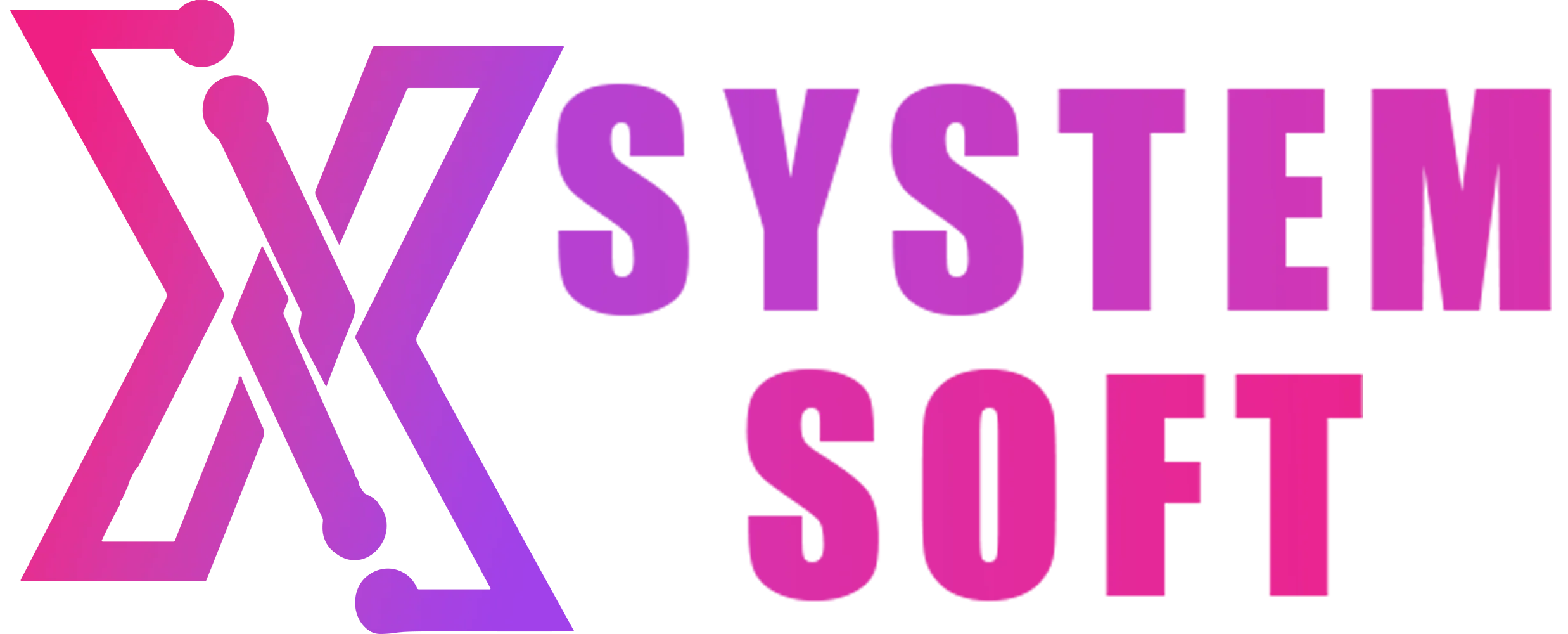 XsystemSoft 标志