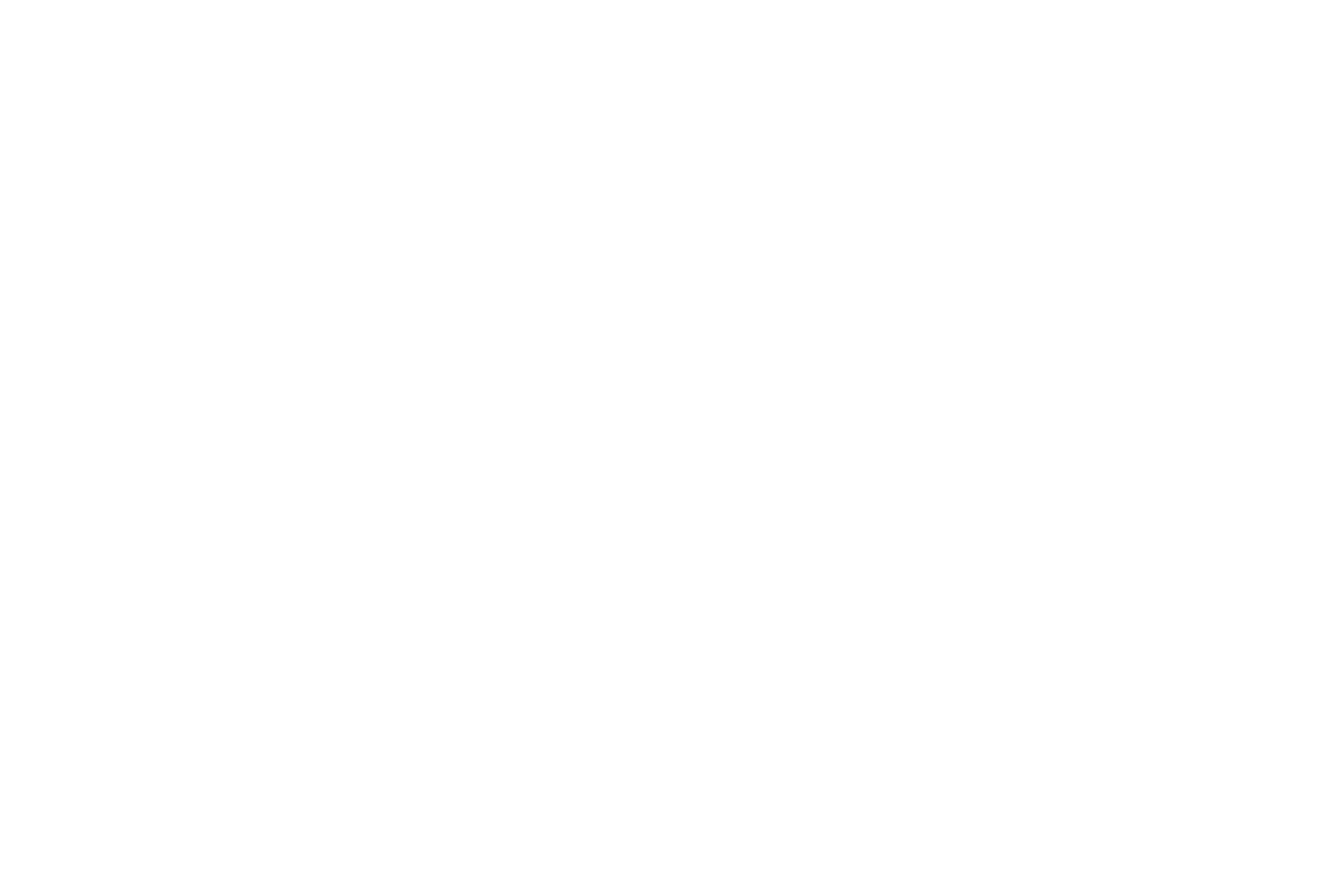 Chaos Manufacturing 标志