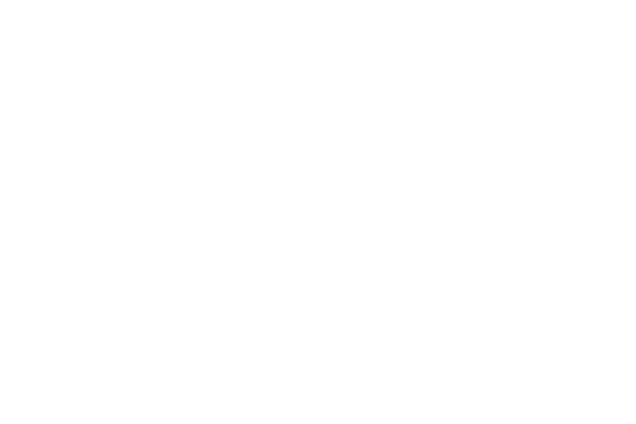Wildflower Interactive 标志