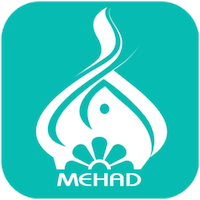 Mehad Media Game Studio 标志