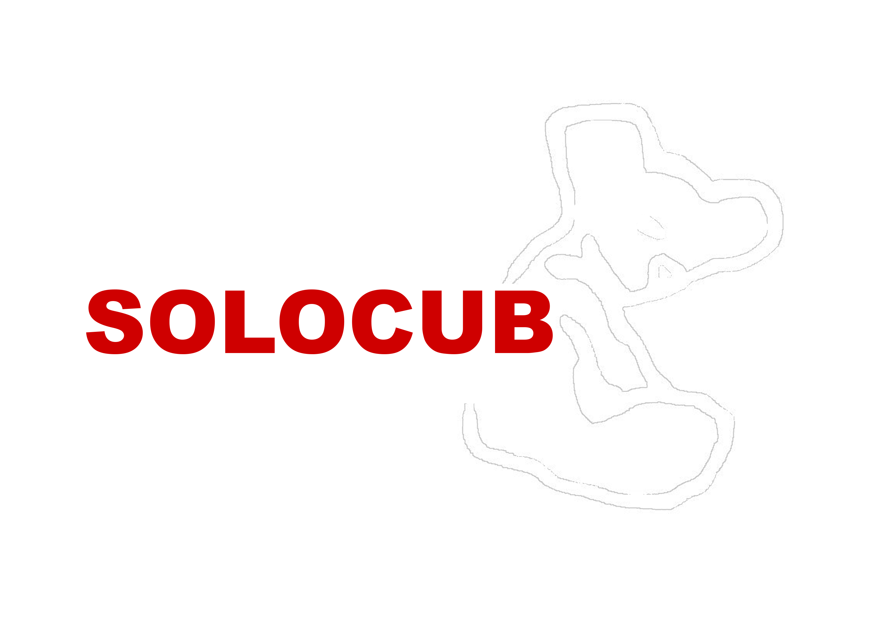 Solocub Entertainment logo