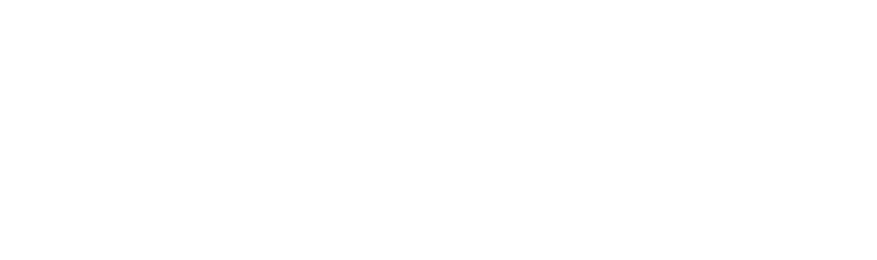 Slug Disco logo