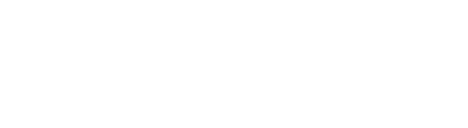 Dino Digital logo