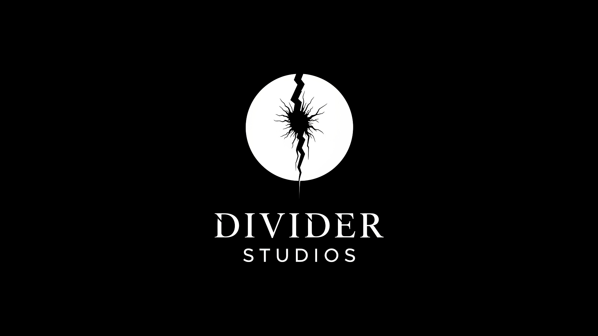 Divider Studios 标志