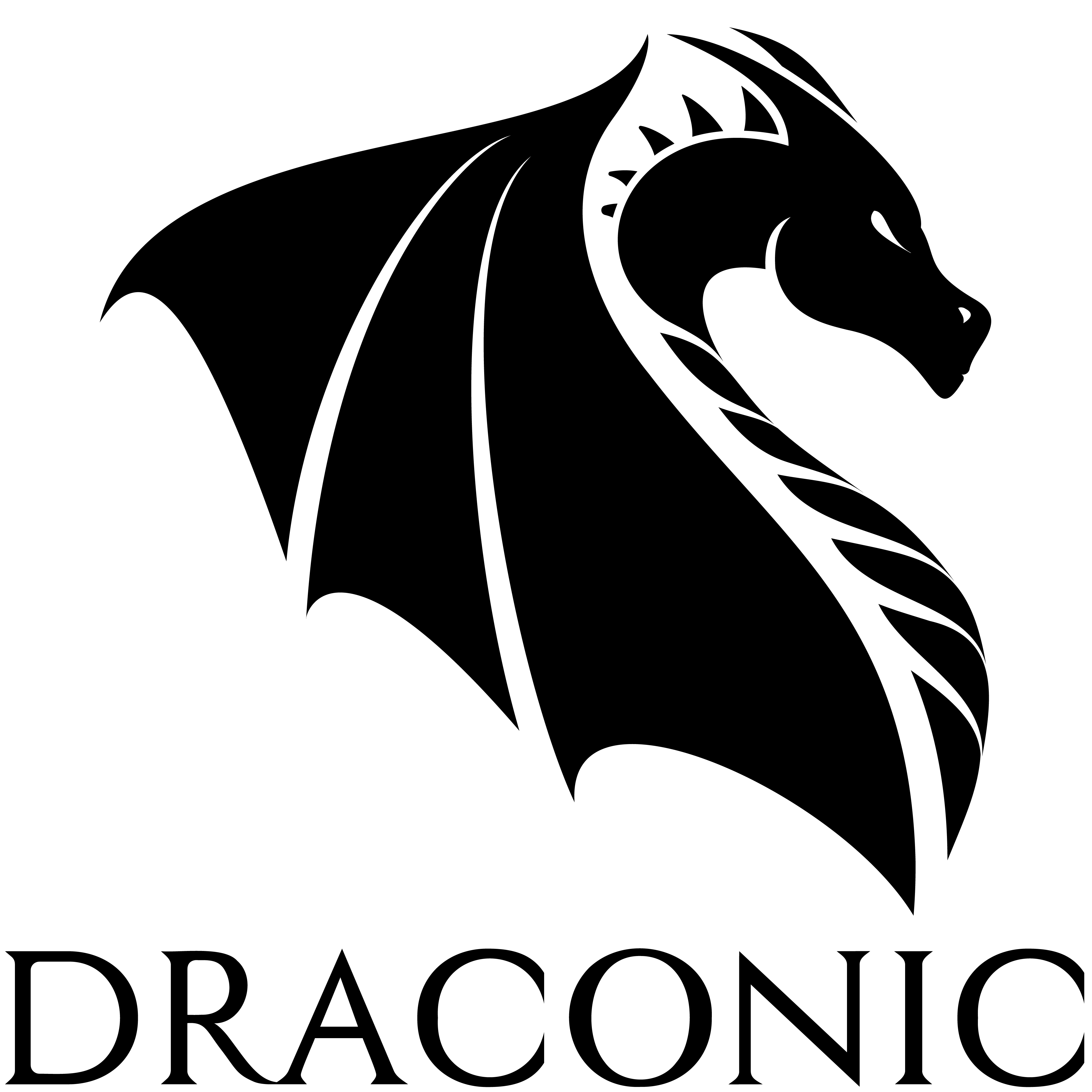 Draconic Interactive 标志