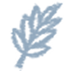 fluuen 标志