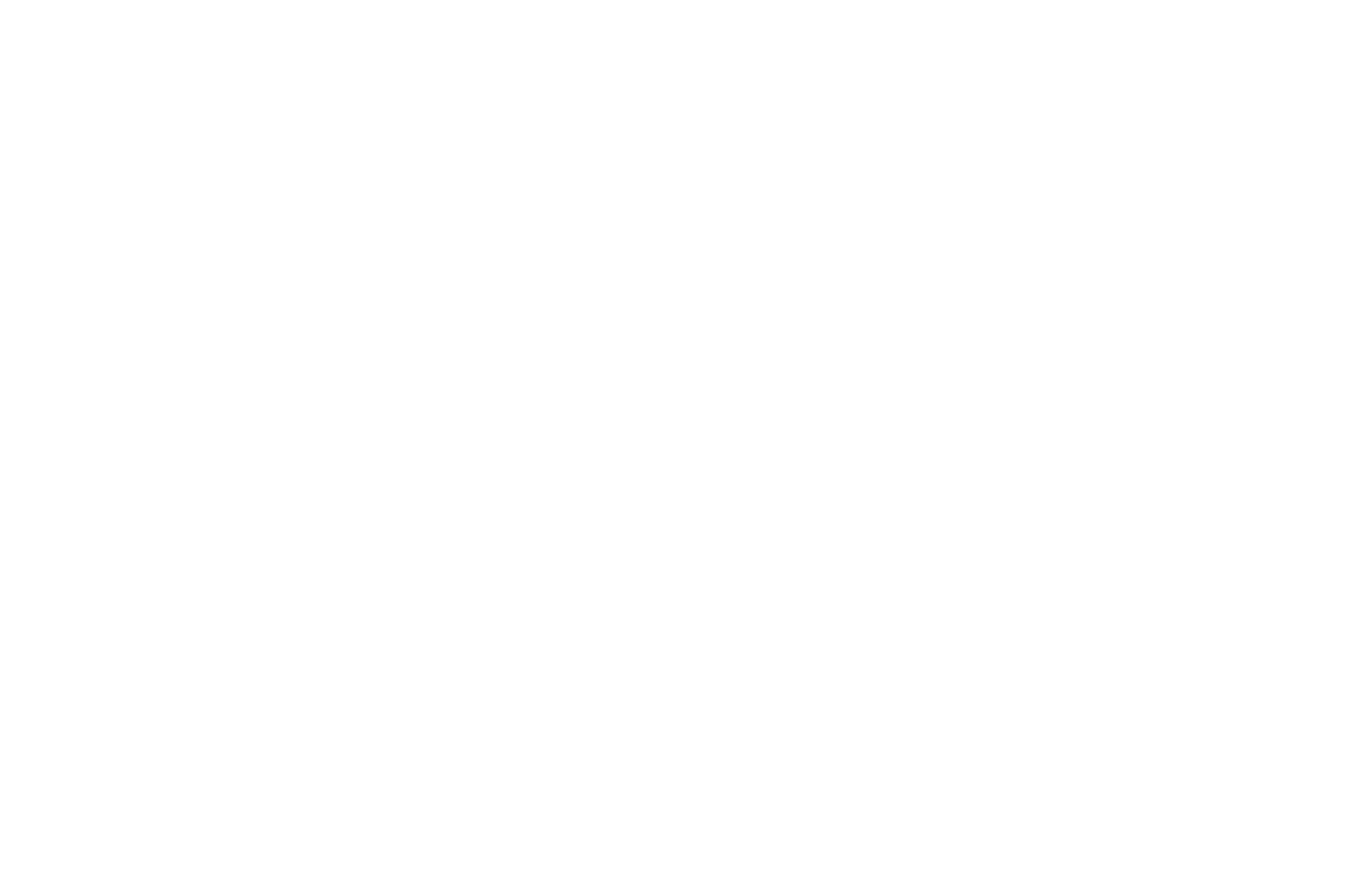 Kavik Studios 标志