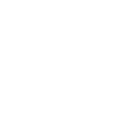 NicoWaveLab 标志