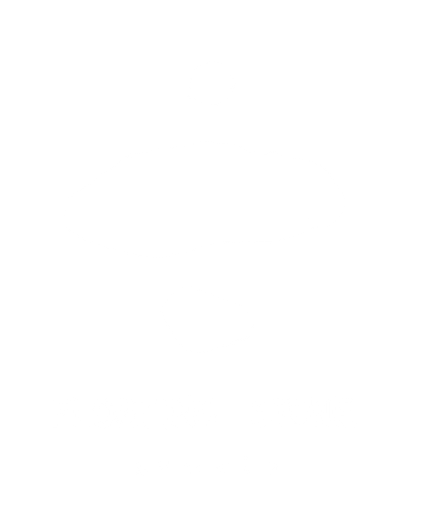 Floating Stone Studio 标志