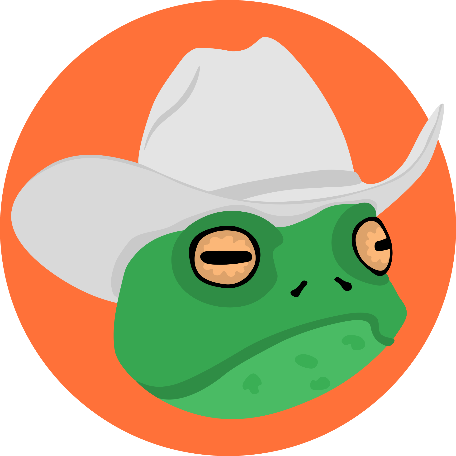Cowboy Toad Games 标志