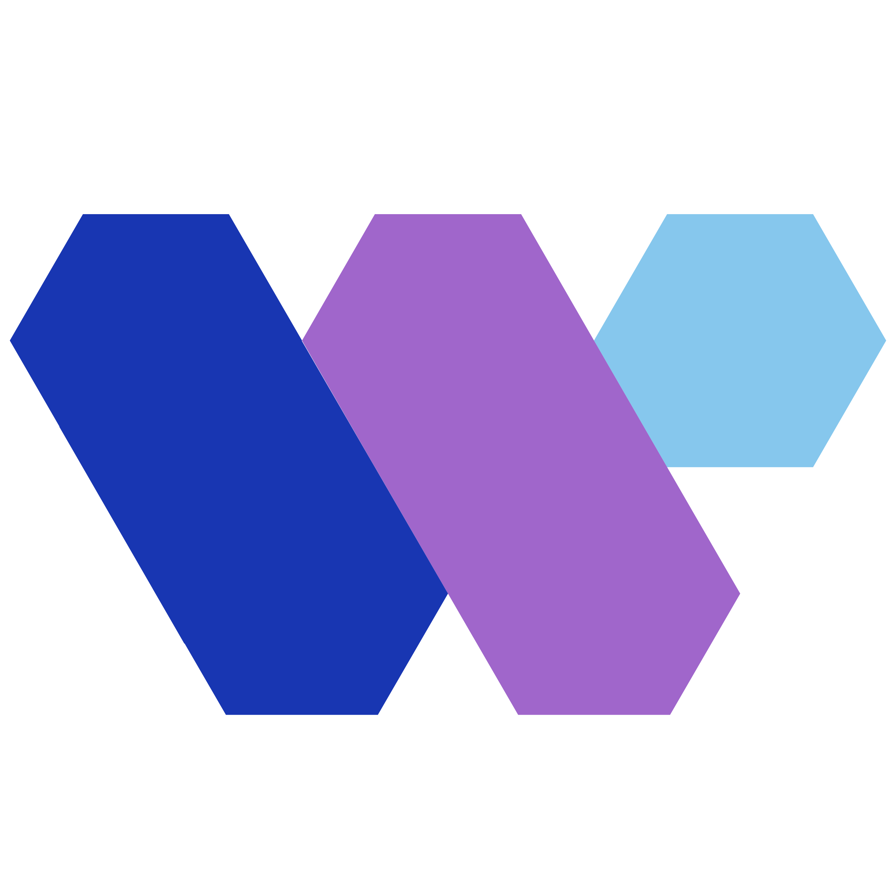Wombex Games 标志