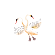 Logo del Desarrollador