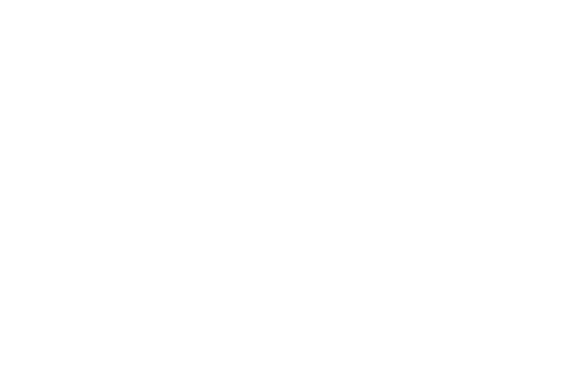 Maskborne 标志