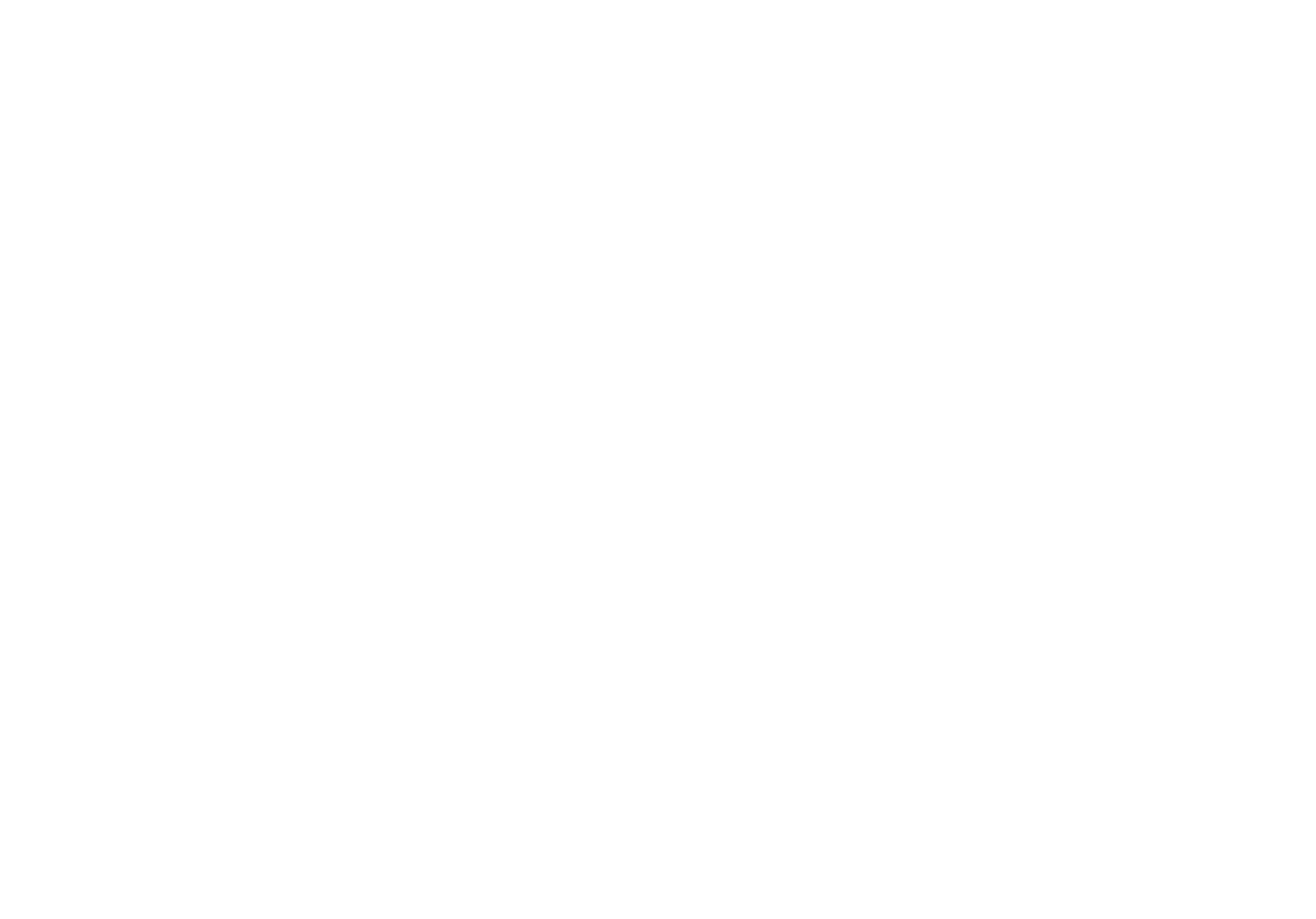 Flagship Interactive 标志