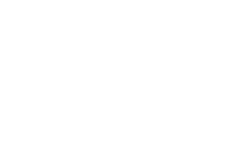 Novice Flow logo