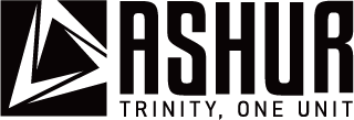 ASHUR Inc. 标志