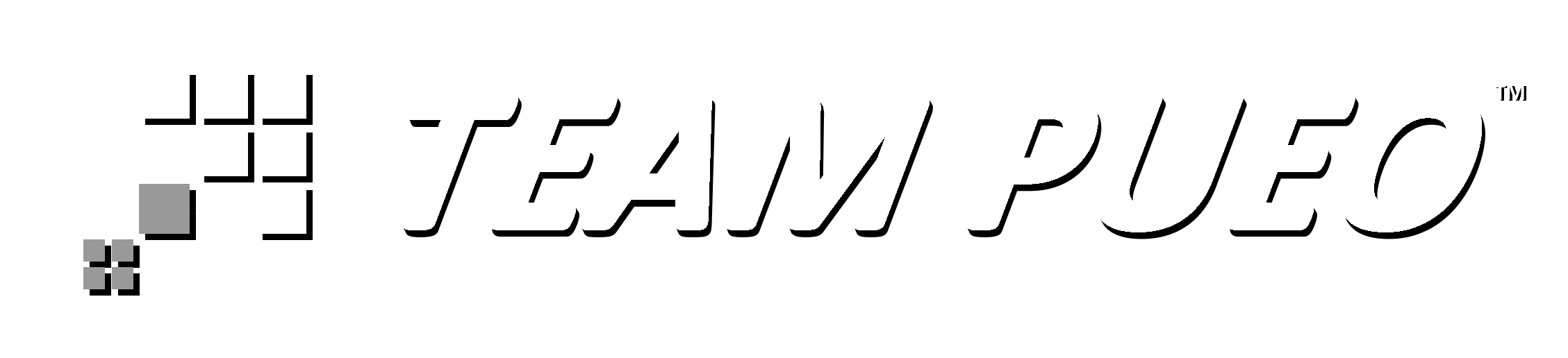 Team Pueo 标志