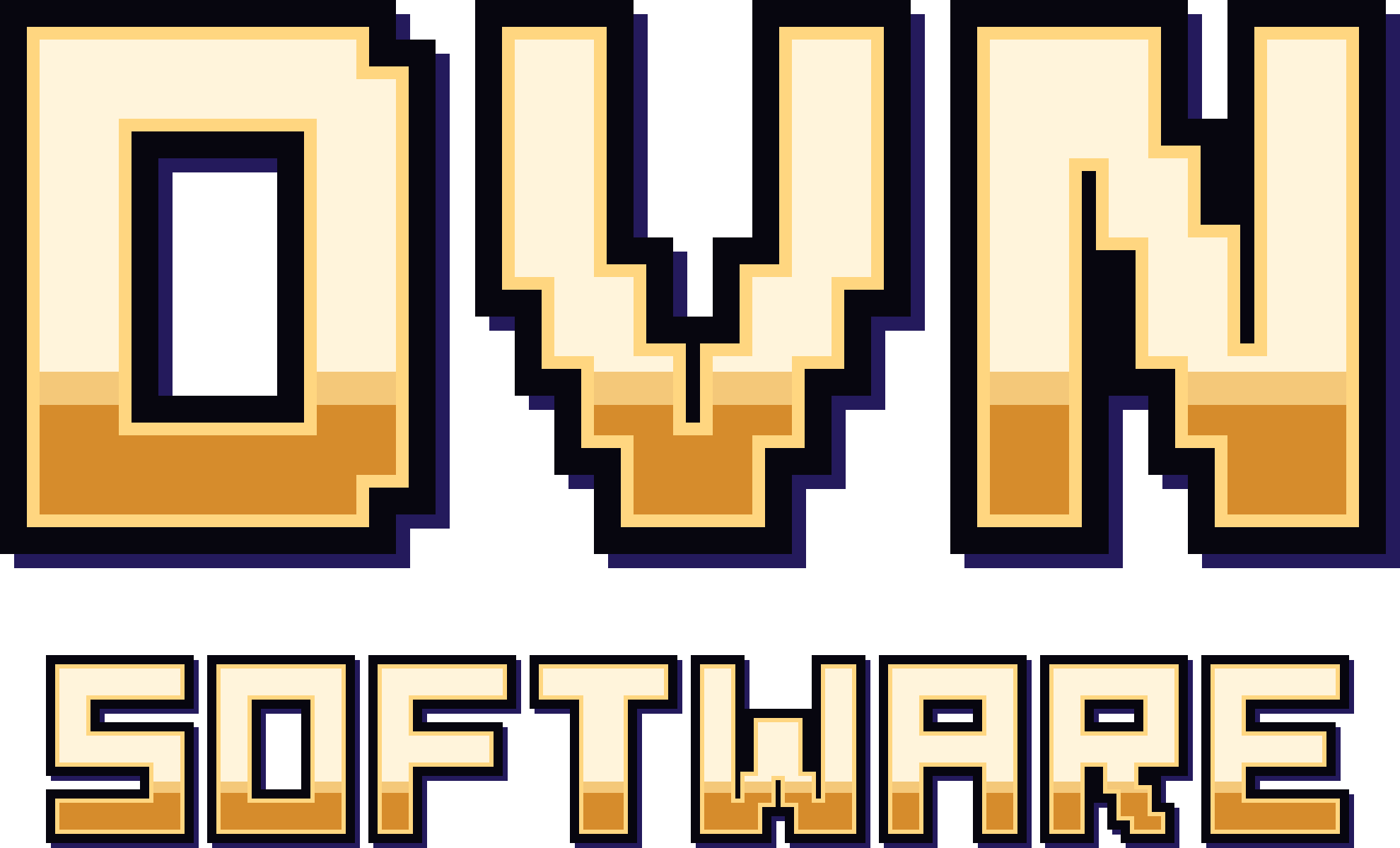 DVN Software 标志