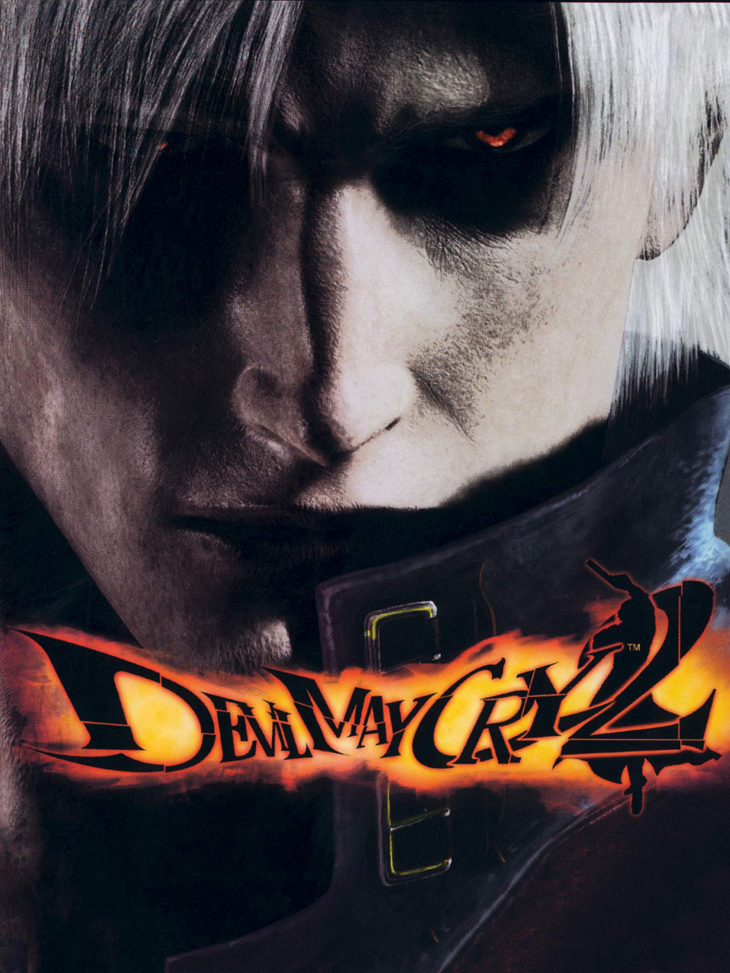 Cover de Devil May Cry 2