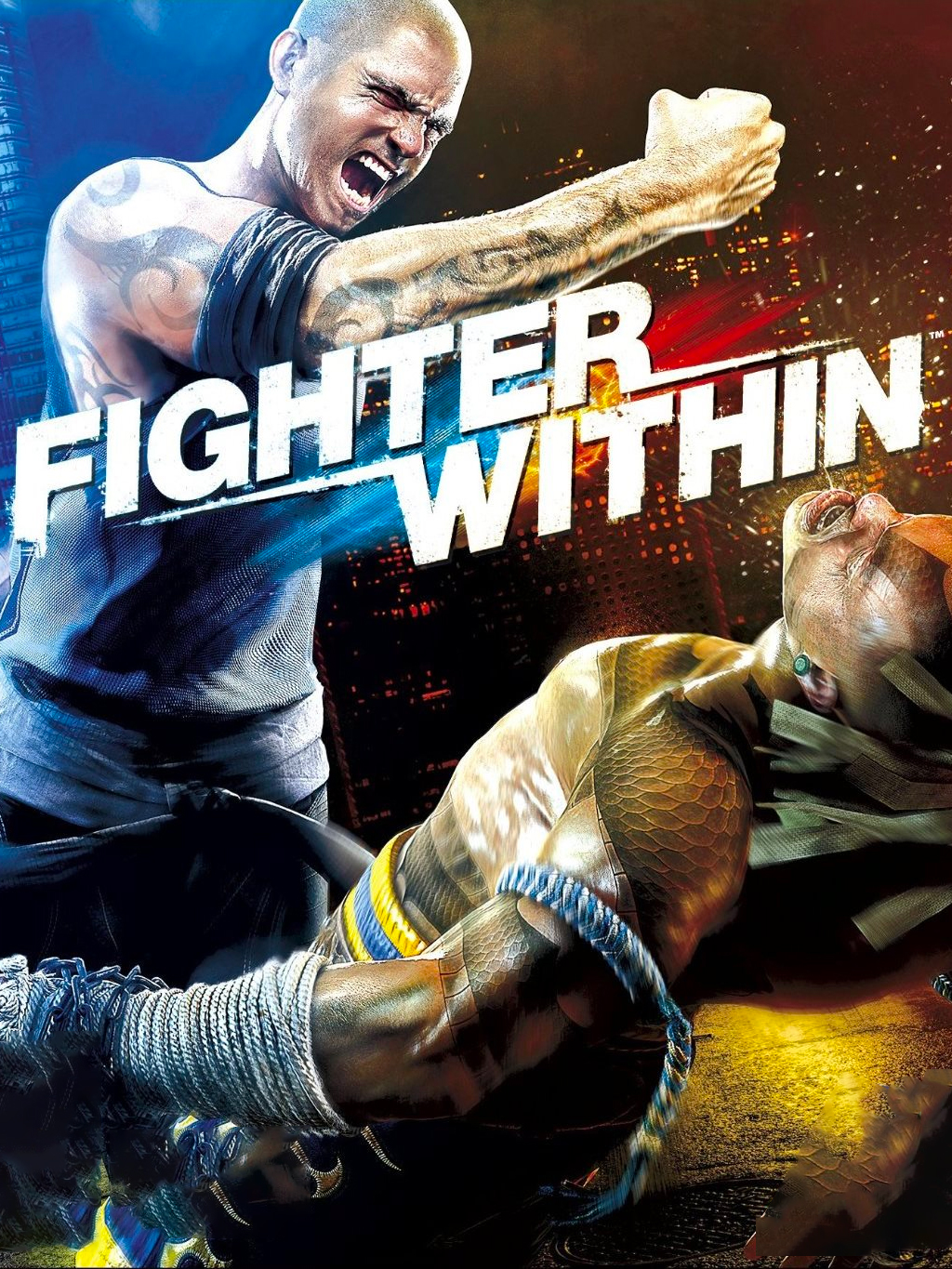 Game cover: Fighter Within