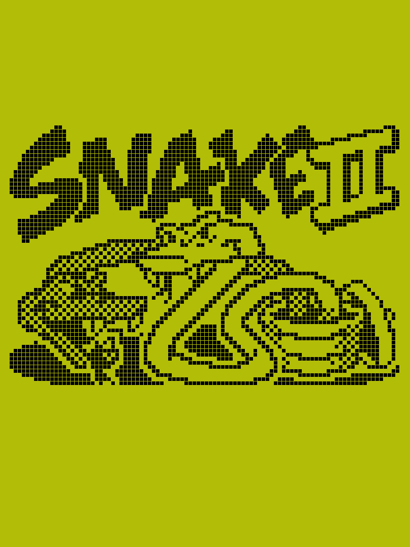 Game cover: Snake II