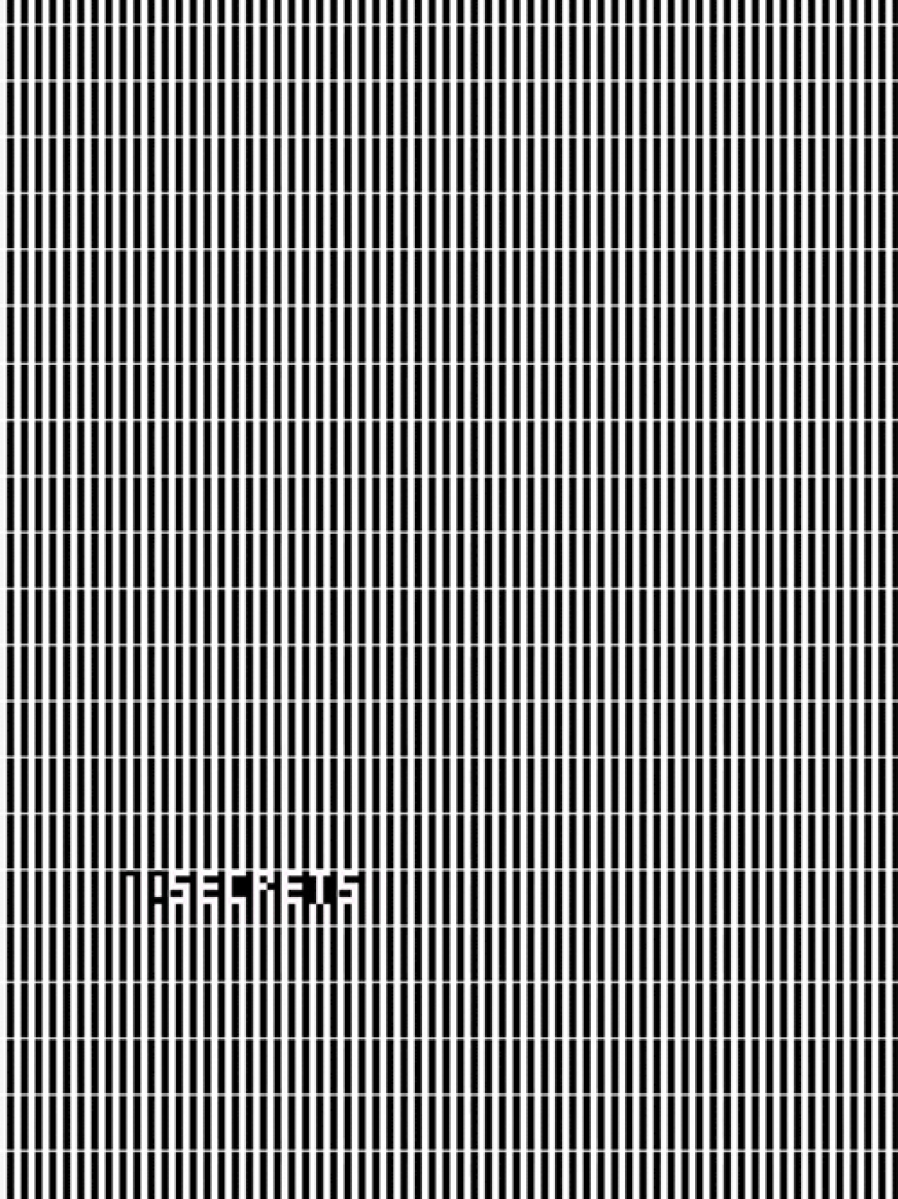 Game cover: No Secrets