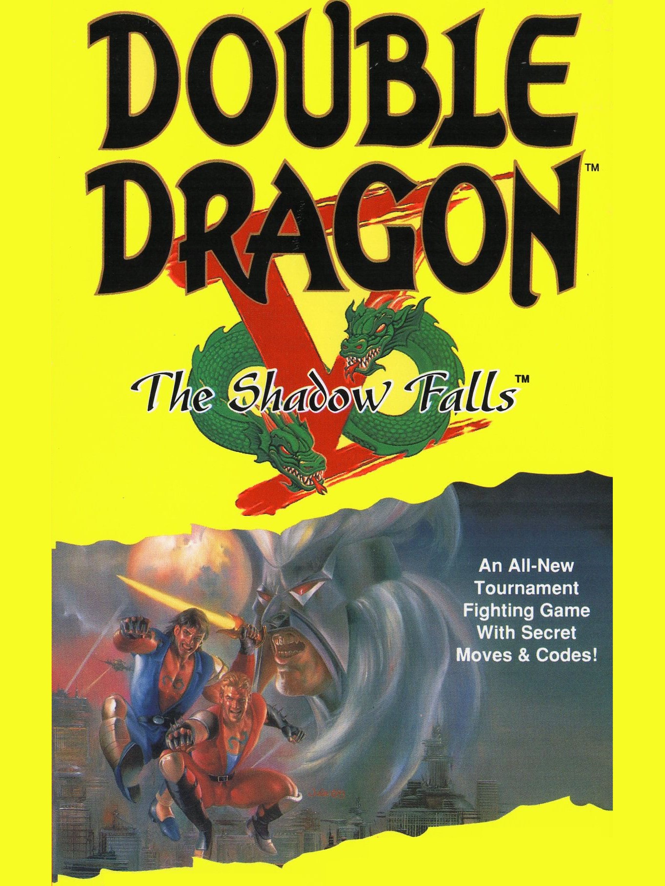 Game cover: Double Dragon V: The Shadow Falls