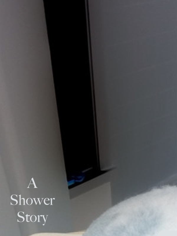 a-shower-story-2021