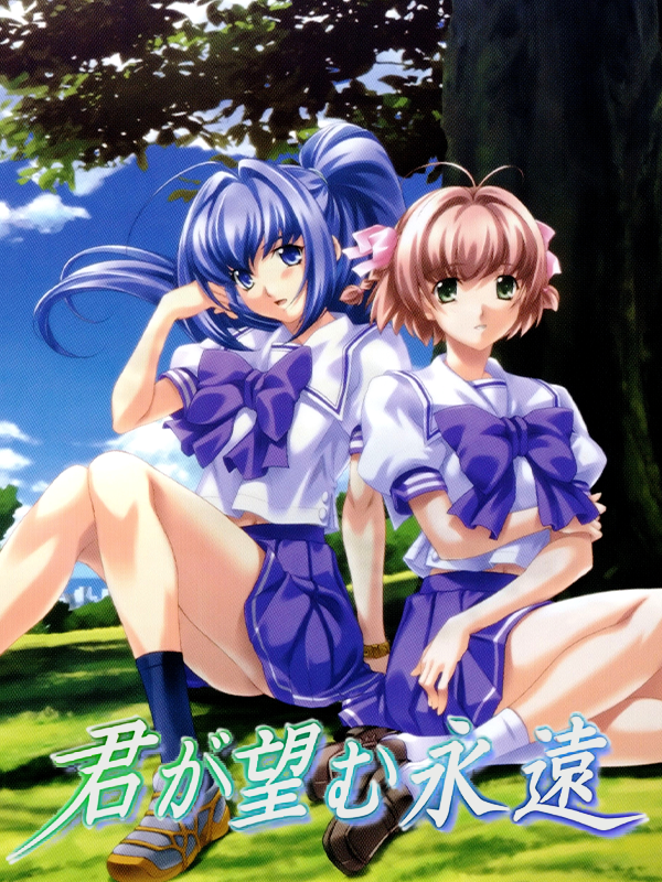 Game cover: Kimi ga Nozomu Eien